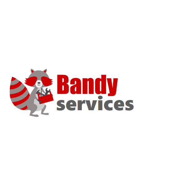 Bandy services logo